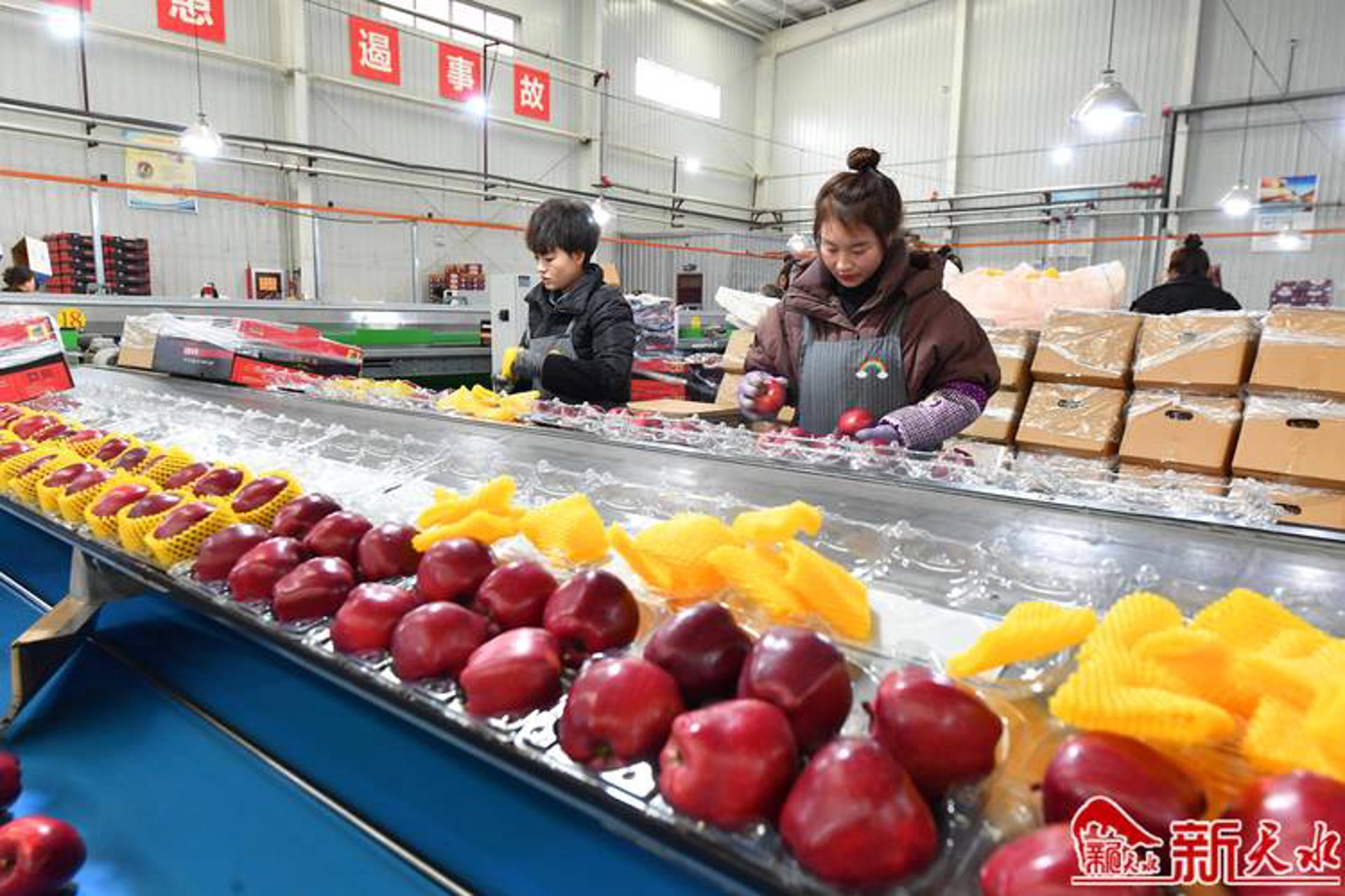雪原果品