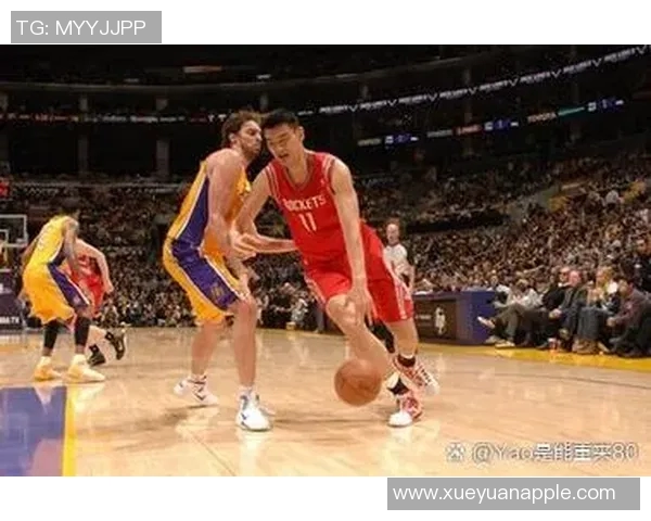 姚明胖妹日记:从篮球场到生活的成长与蜕变之旅 姚明胖妹日记:从篮球场到生活的成长与蜕变之旅